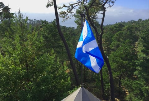 Saint Andrew's Cross over southwest turret.