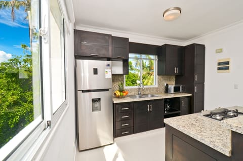 Penthouse Condo | Private kitchen | Full-size fridge, microwave, oven, stovetop