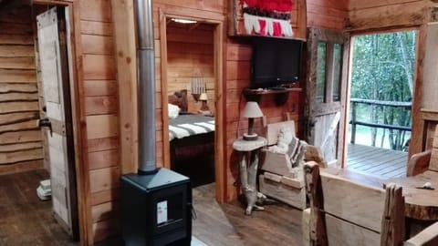 Family Cabin, 3 Bedrooms, Garden View | Living room | Fireplace