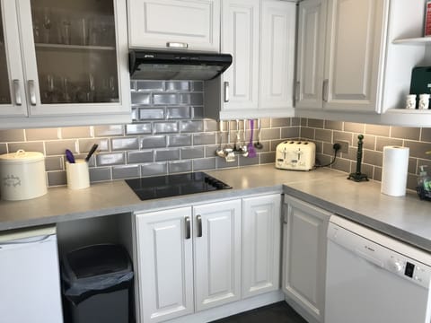 Kitchen extractor and electric hob and cooker.Under unit larder fridge to left. 