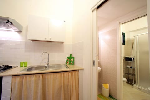 Double or Twin Room, Kitchenette | Desk, free WiFi