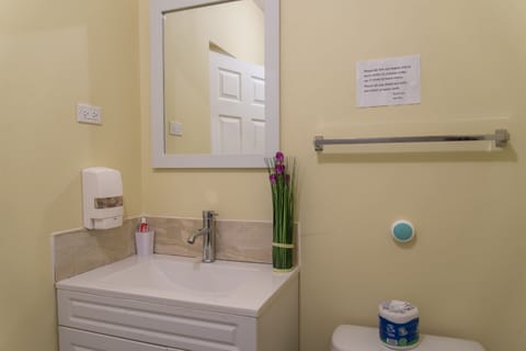 Basic Studio, 1 Queen Bed, Kitchen | Bathroom | Shower, free toiletries, hair dryer, towels