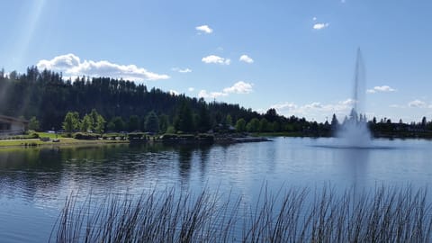 Enjoy nature and walks 