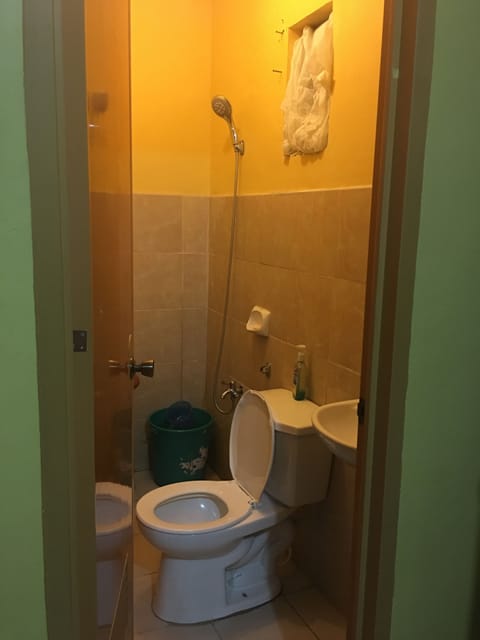 Shower, free toiletries, bidet, towels