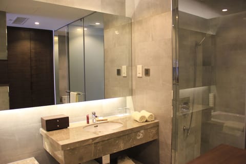 Suite | Bathroom | Free toiletries, hair dryer, bathrobes, slippers