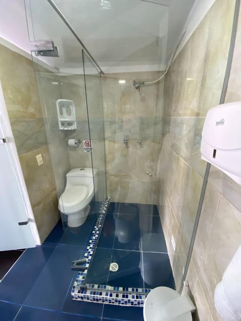 Double Room | Bathroom | Shower, hair dryer, towels, shampoo