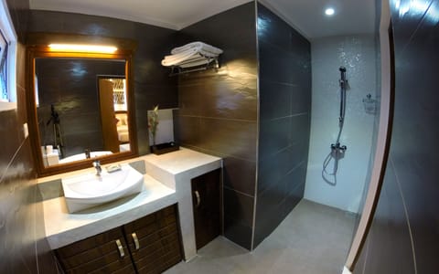 Deluxe Double Room | Bathroom | Shower, free toiletries, hair dryer, towels