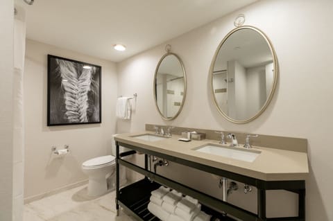 Combined shower/tub, free toiletries, hair dryer, towels