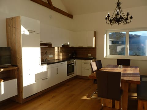 Superior Apartment, 2 Bedrooms, Sauna, Lake View | Private kitchen | Fridge, oven, stovetop, dishwasher