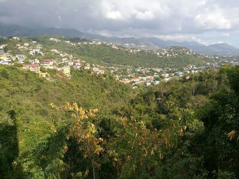 Family Apartment, 3 Bedrooms, Balcony, City View | View from room