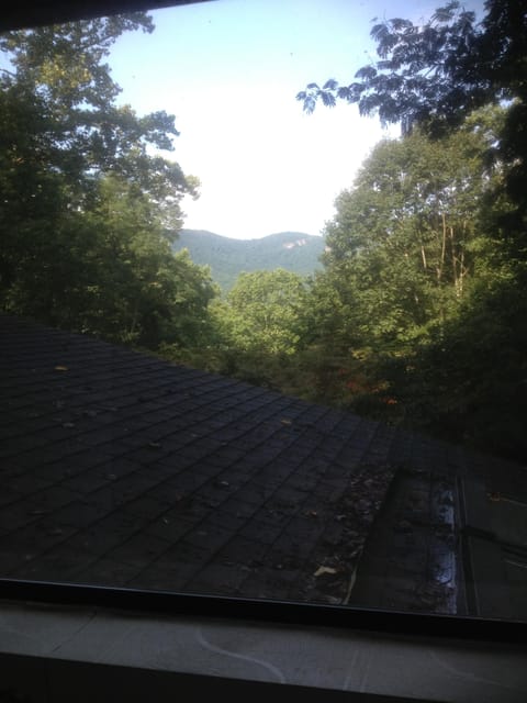 View from the deck