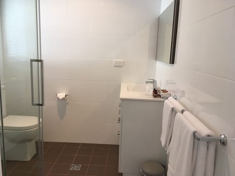 Executive Triple Room | Bathroom | Shower, rainfall showerhead, free toiletries, hair dryer