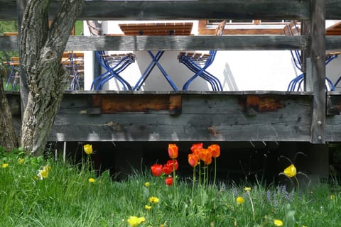 Lunch and dinner served, Regional cuisine