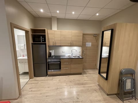 Deluxe Studio | Private kitchen | Full-size fridge, microwave, oven, stovetop
