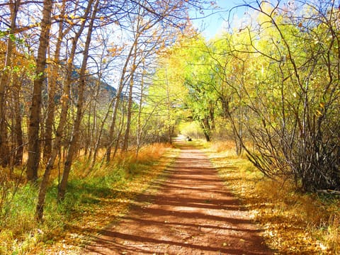 TAKE A 1-MILE TRAIL ALONG THE FOUNTAIN CREEK TO THE LAKE IN GREEN MOUNTAIN FALLS