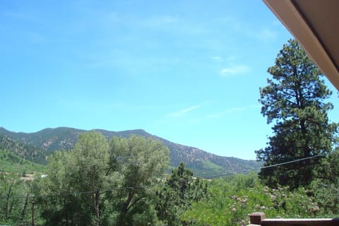 A VIEW FROM THE FRONT DECK