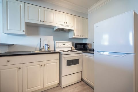 Premium Suite | Private kitchen | Fridge, microwave, coffee/tea maker, electric kettle