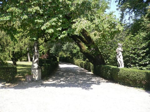 THE ROAD FOR THE VILLA