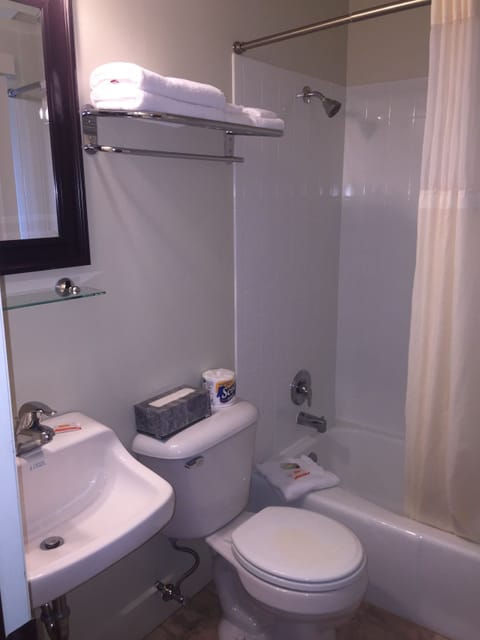 Combined shower/tub, deep soaking tub, free toiletries, hair dryer