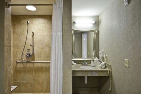 Room, 1 King Bed, Accessible | Bathroom shower