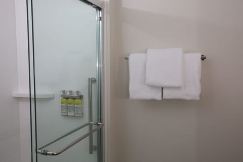 Combined shower/tub, free toiletries, hair dryer, towels