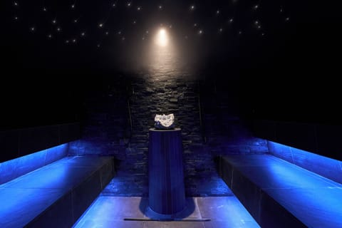 Sauna, hot tub, steam room