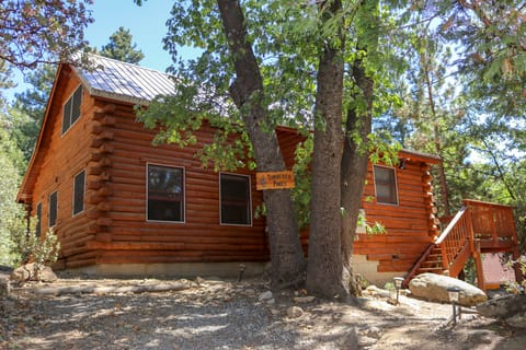 Timbered Pines - An authentic Log Cabin in