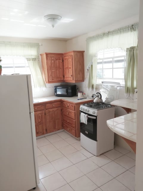 Apartment, 1 Bedroom | Private kitchen | Fridge, microwave, oven, stovetop