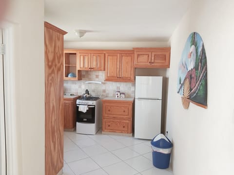 Apartment, 1 Bedroom | Private kitchen | Fridge, microwave, oven, stovetop