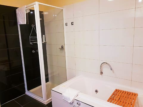 Family Apartment, 2 Bedrooms, River View | Bathroom | Shower, free toiletries, hair dryer, towels