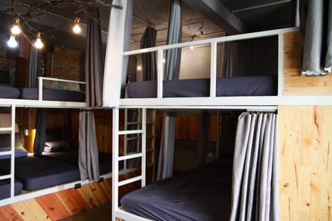 Shared Dormitory, Mixed Dorm (12 Beds) | Free WiFi