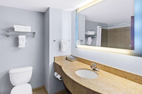 Standard Room, 1 King Bed, Non Smoking, Microwave | Bathroom | Free toiletries, hair dryer, towels