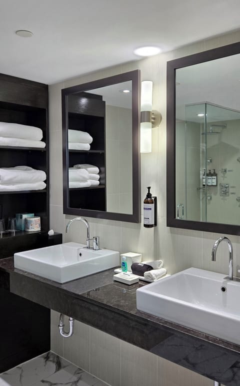 Suite (Director Suite) | Bathroom | Combined shower/tub, free toiletries, hair dryer, towels