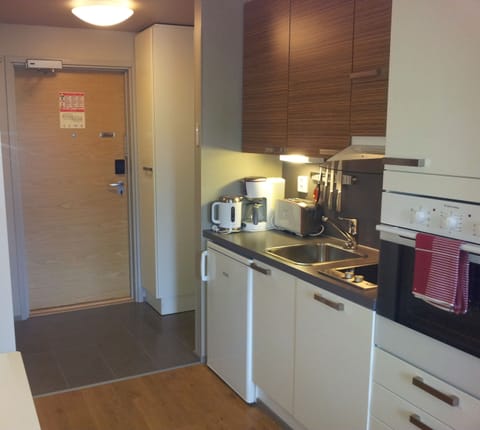 Studio | Private kitchen | Fridge, microwave, oven, stovetop