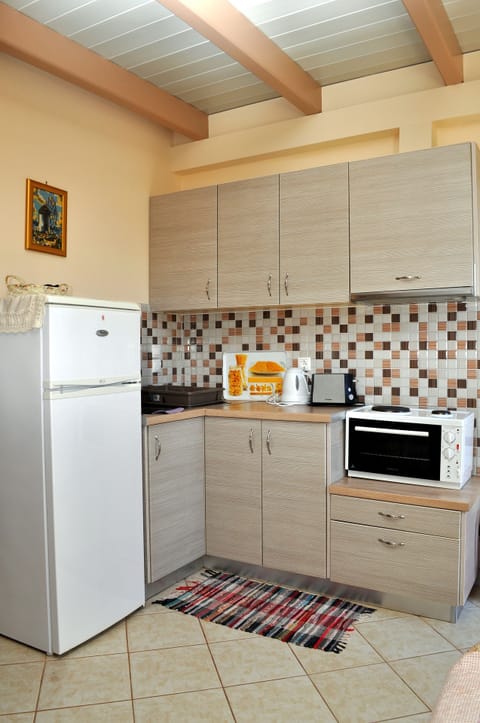 Standard Apartment | Private kitchen | Fridge, oven, coffee/tea maker, electric kettle