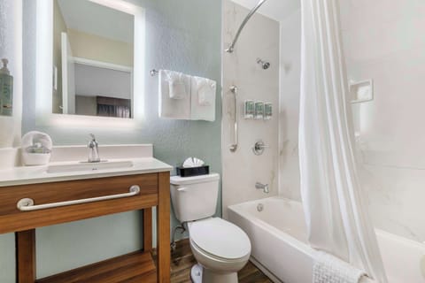 Combined shower/tub, free toiletries, hair dryer, towels