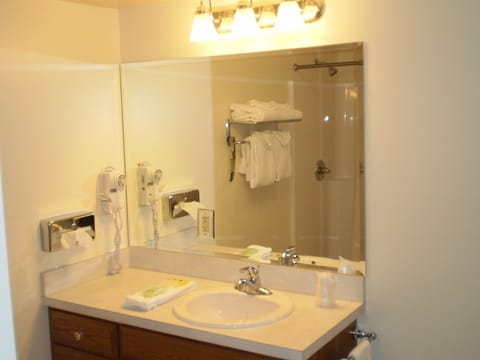 Executive Suite | Bathroom | Free toiletries, hair dryer, towels