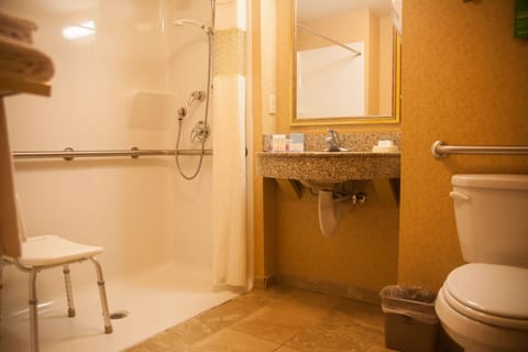 Room, Accessible, Non Smoking | Bathroom | Shower, hair dryer, towels