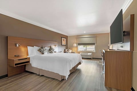 Egyptian cotton sheets, premium bedding, Select Comfort beds