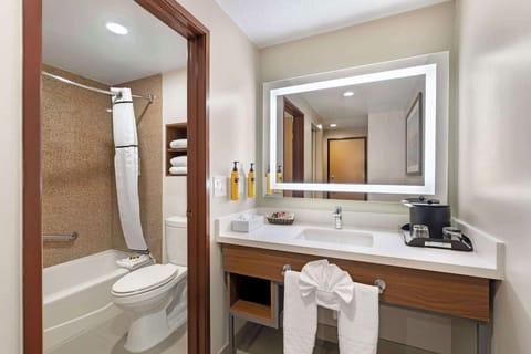 Standard Room, 1 King Bed, Non Smoking, Refrigerator (with Sofabed) | Bathroom | Combined shower/tub, eco-friendly toiletries, hair dryer, towels