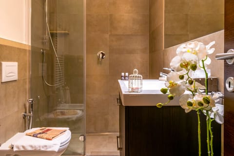 Shower, free toiletries, hair dryer, bidet