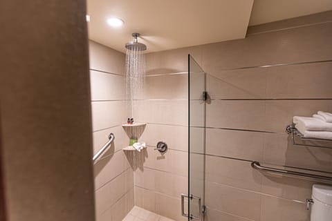 Room, 1 Queen Bed, Accessible | Bathroom shower