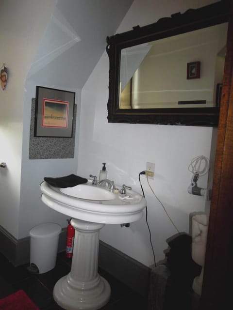 Laurel Mountain Suite | Bathroom | Shower, hydromassage showerhead, free toiletries, hair dryer