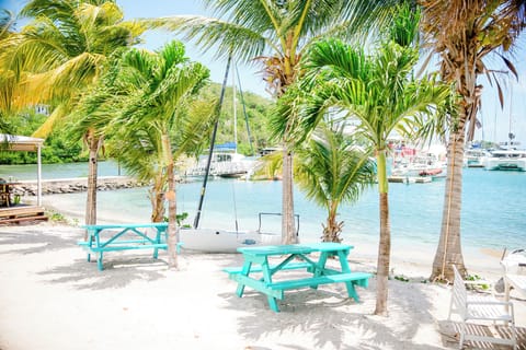 On the beach, sun loungers, beach towels, snorkeling