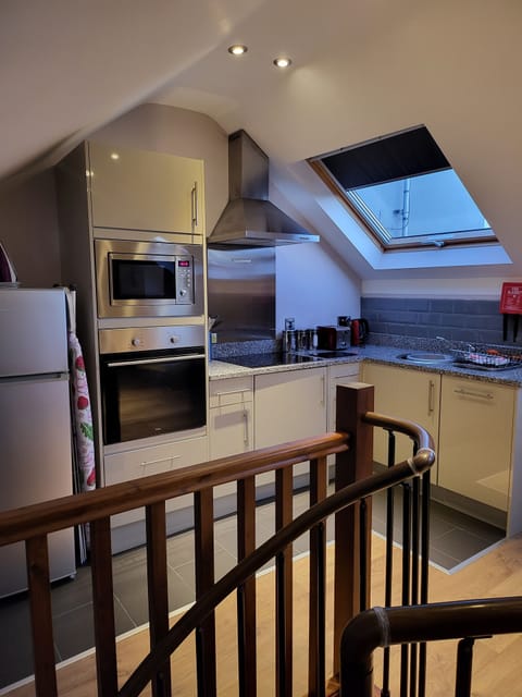 Executive Apartment, 1 Bedroom | Private kitchen | Full-size fridge, microwave, oven, stovetop