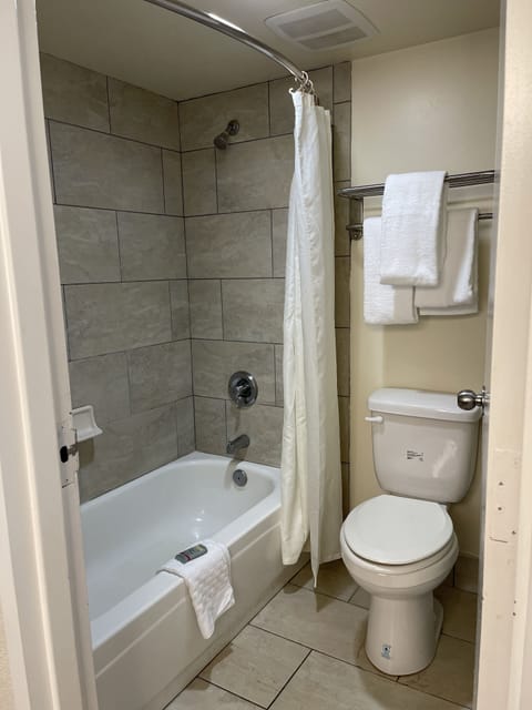 Combined shower/tub, free toiletries, hair dryer, towels