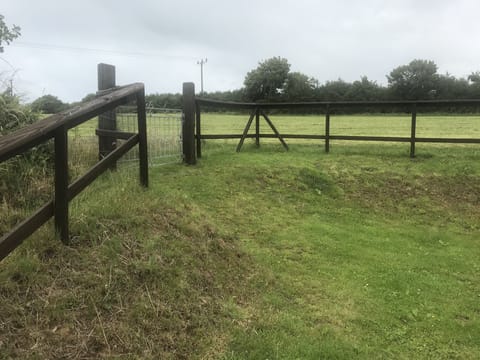 The garden and beyond