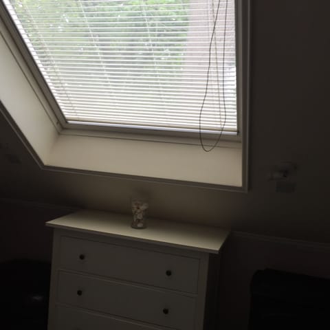 Velux in bedroom looking into trees