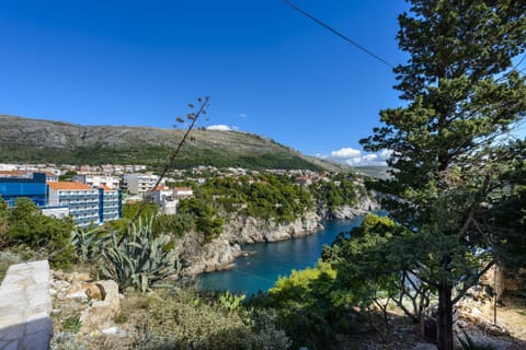 View from the terrace