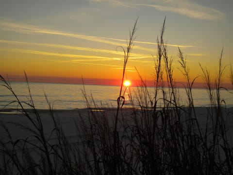 Enjoy Beautiful Sunsets, Dinner and Beverages at Crabby Steve's